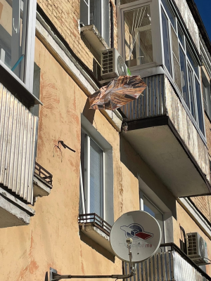 Без названия.png